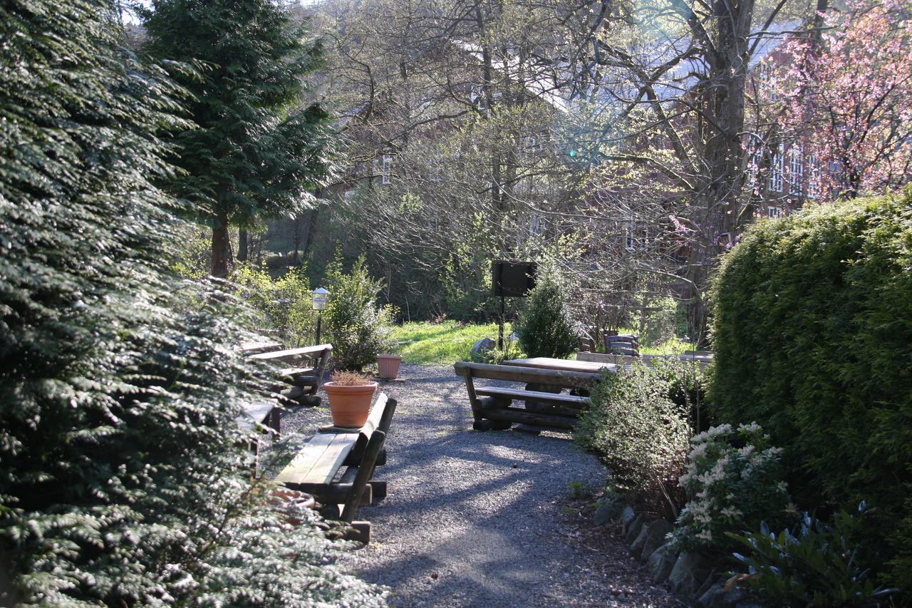 Hotel Zum Forsthaus Willingen  Exterior photo